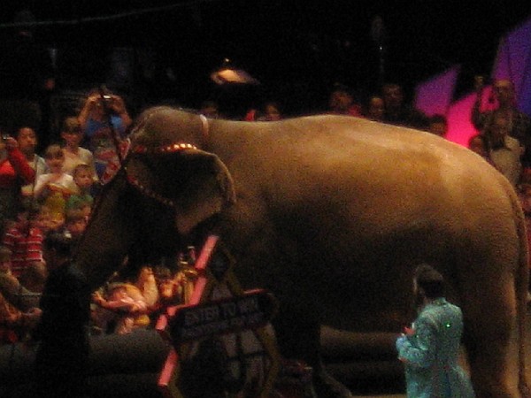 june08 005.jpg